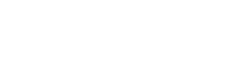 DSK — Detailing Solutions Krew